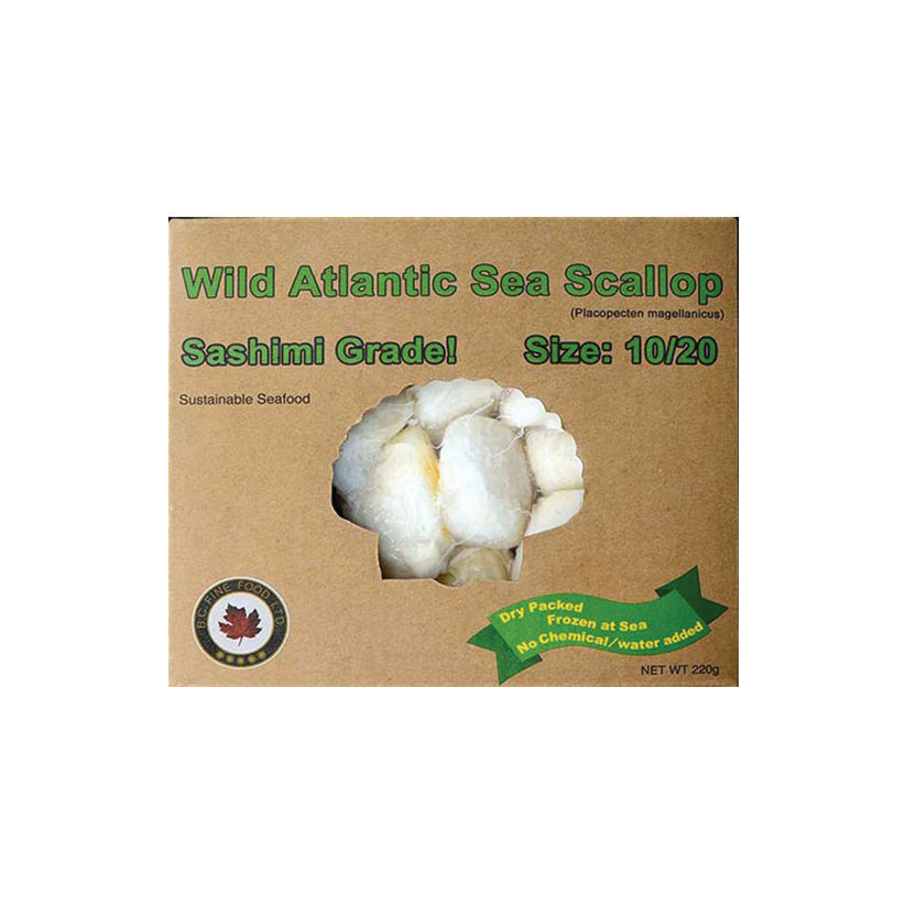 Wild Atlantic Sea Scallop 10/20 (Sashimi Grade)